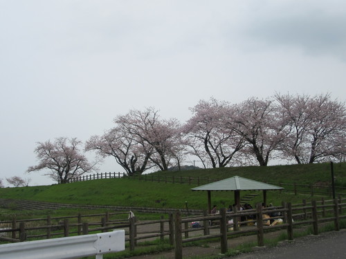 f0231709_061194.jpg