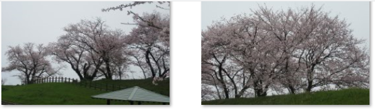 f0231709_082238.png