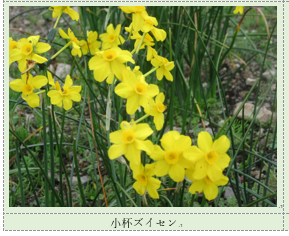 f0231709_17291886.png