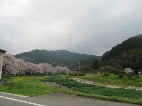 f0231709_1884310.jpg