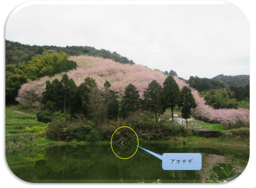 f0231709_1947391.png