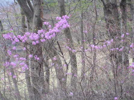 b0029010_22461517.jpg
