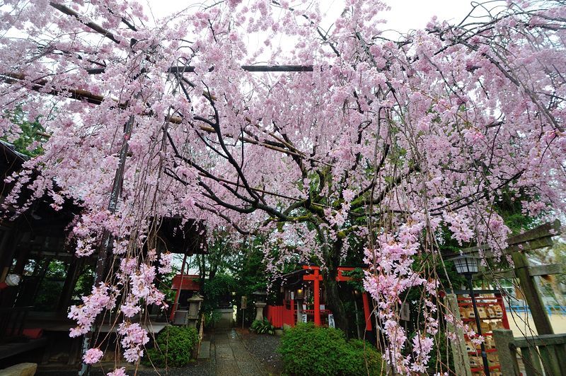 f0032011_20221391.jpg