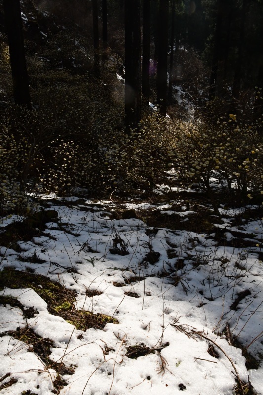 b0223512_22025449.jpg