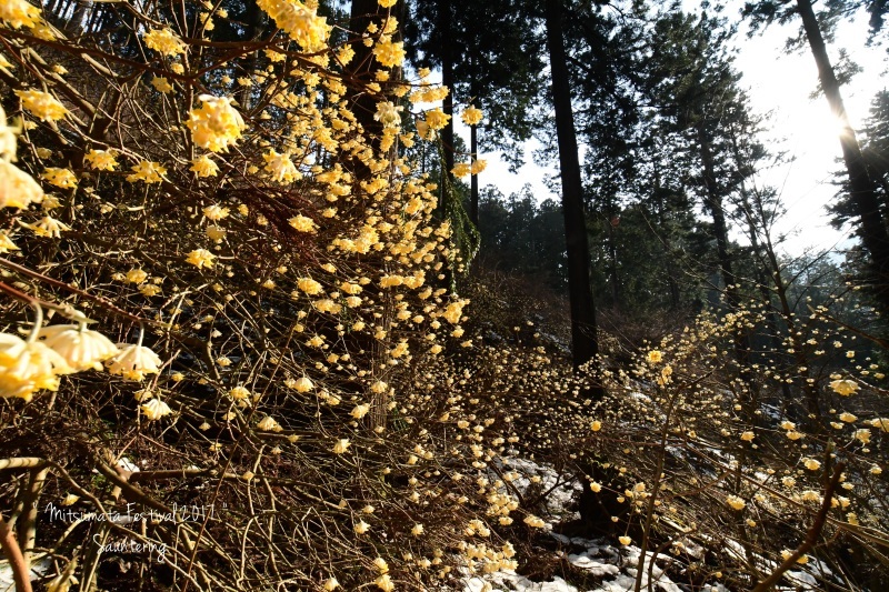 b0223512_22045623.jpg