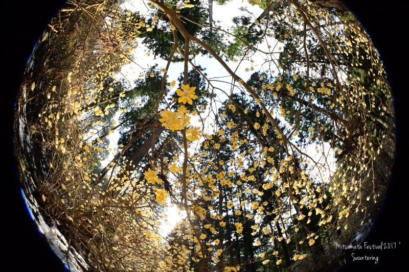 b0223512_22280714.jpg