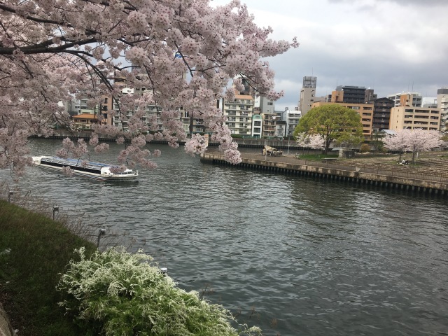 b0302512_00243538.jpg