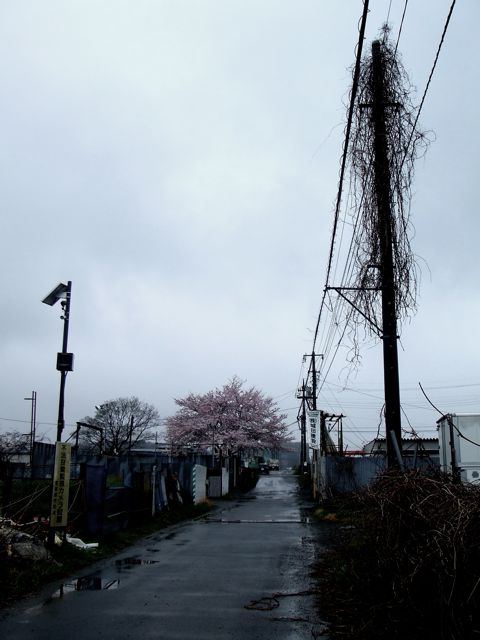 e0231514_11323869.jpg