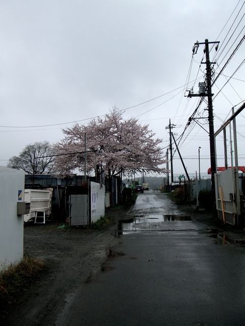 e0231514_11331218.jpg