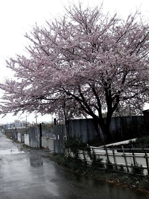 e0231514_11334879.jpg