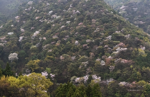 c0168815_22590740.jpg
