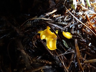 f0360815_15223766.jpg