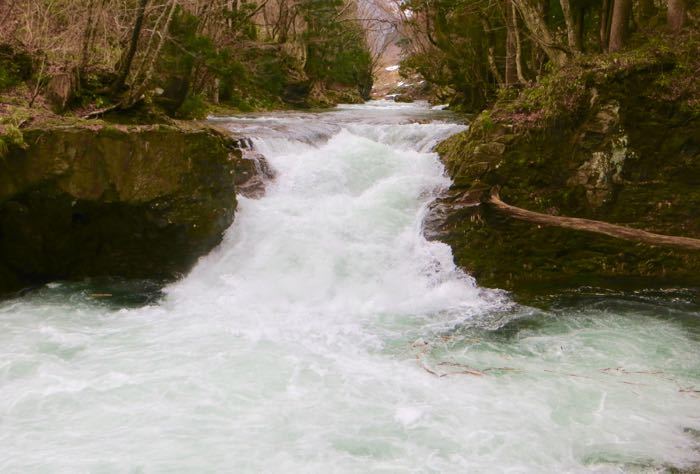 b0226219_13491503.jpg