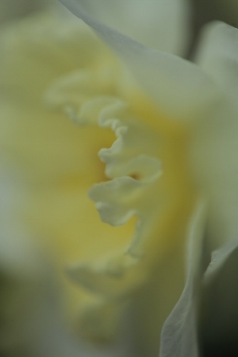 e0242721_06470986.jpg
