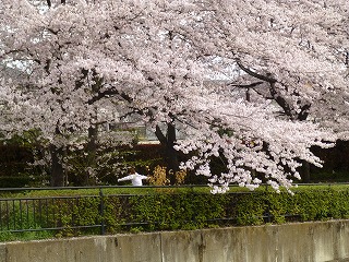 f0037623_19565450.jpg