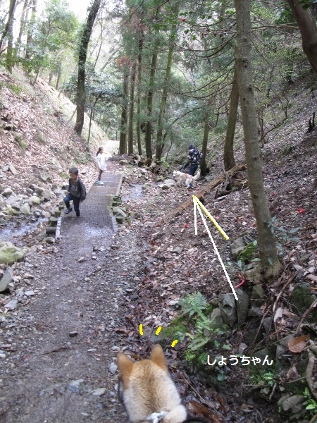 f0143123_10312023.jpg