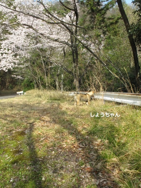 f0143123_10445528.jpg