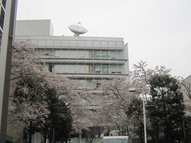 d0162225_20393196.jpg