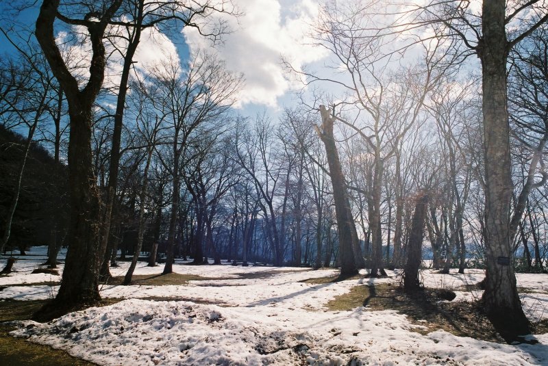 f0362725_16221396.jpg