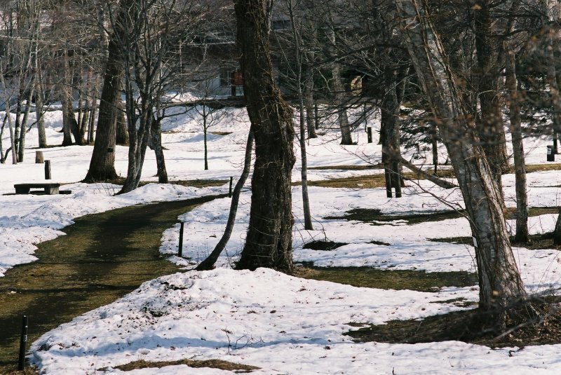 f0362725_16225242.jpg