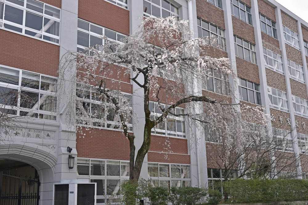 e0367330_1773985.jpg