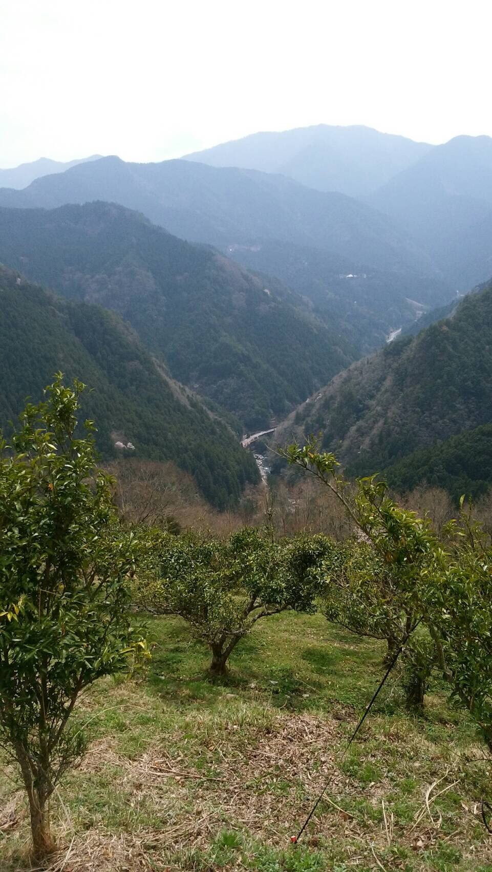 c0089831_5434921.jpg