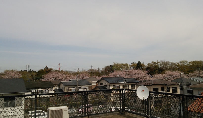 f0002833_20575688.jpg
