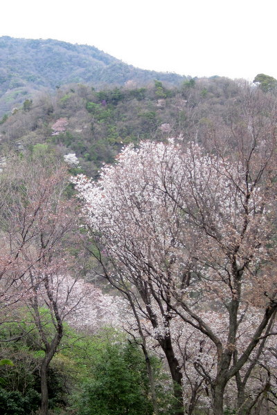 c0038434_19545552.jpg