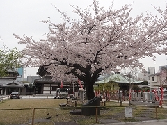 c0147935_17321912.jpg