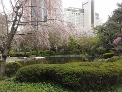 c0147935_17445998.jpg