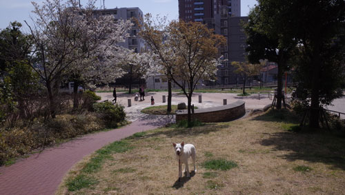 a0117039_21274895.jpg