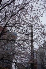 e0080345_07475097.jpg