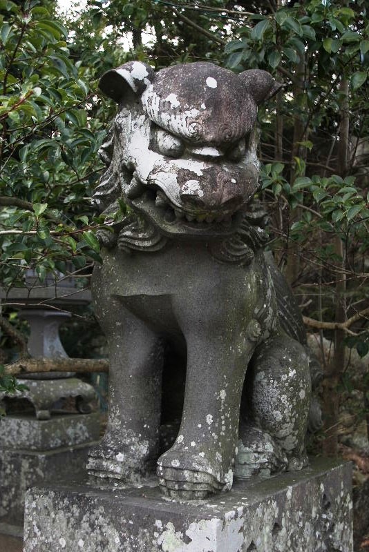 c0011649_630783.jpg