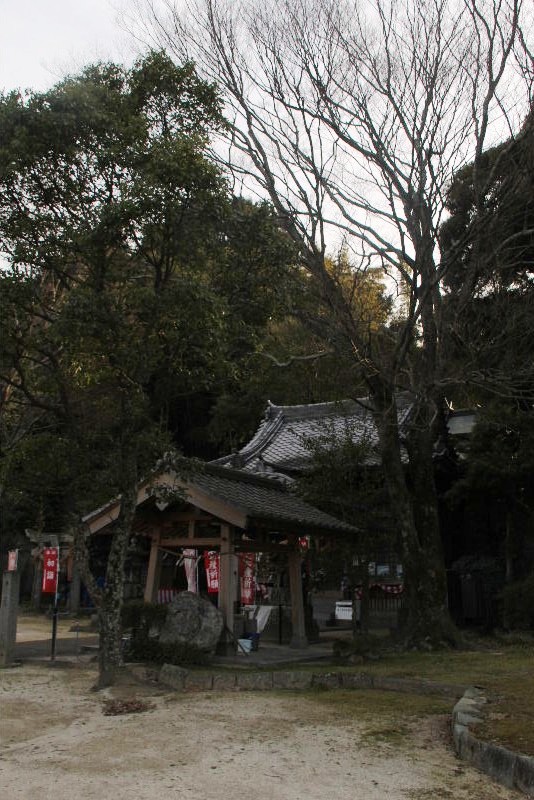 c0011649_735411.jpg