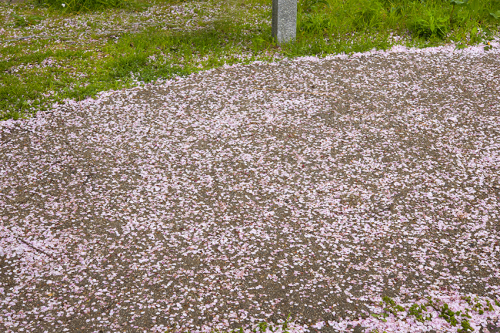 f0077849_20391531.jpg
