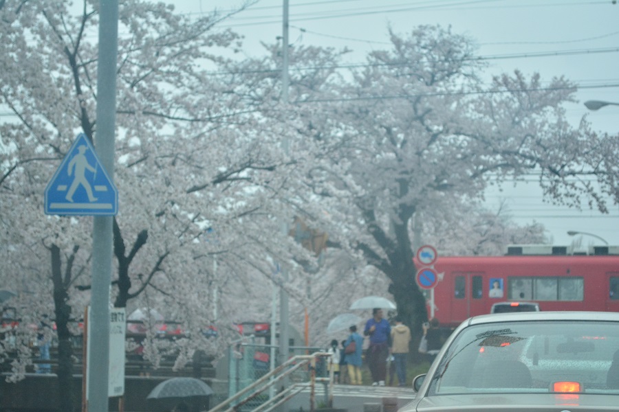a0055650_22521677.jpg