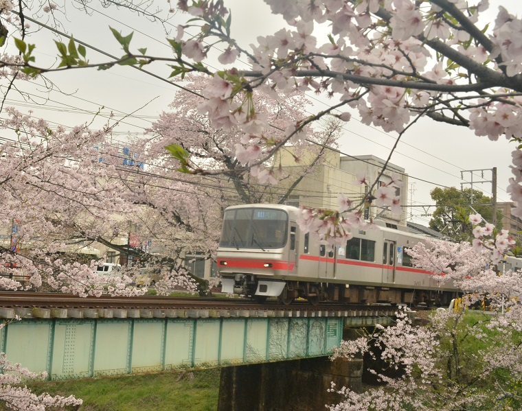 a0055650_2313953.jpg