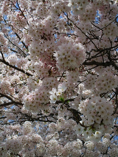 c0327752_15192206.jpg