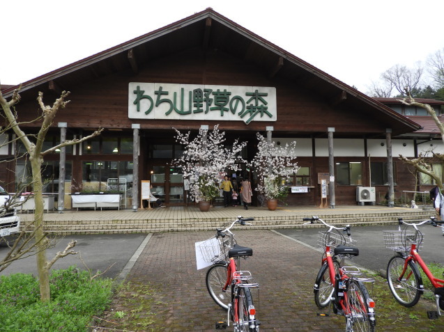 d0154954_15081419.jpg