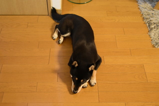 f0363156_17320284.jpg