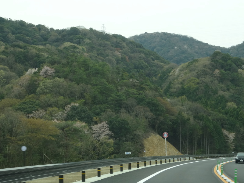 c0108460_20522005.jpg
