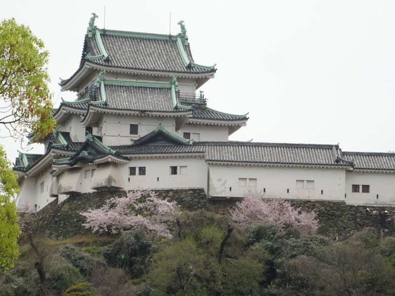 c0108460_20552550.jpg