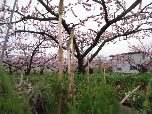 a0048963_20541516.jpg