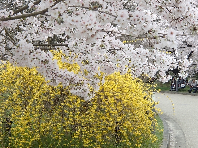 b0044663_23254485.jpg
