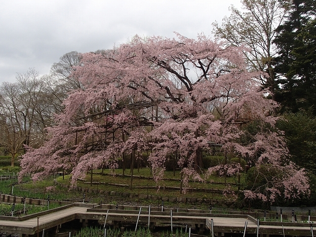 b0044663_23305719.jpg