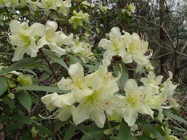 b0044663_23324752.jpg