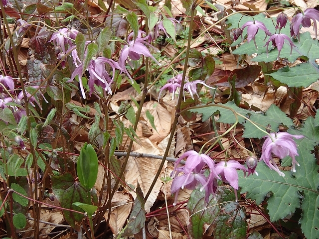 b0044663_23340454.jpg