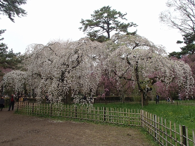 b0044663_23405652.jpg