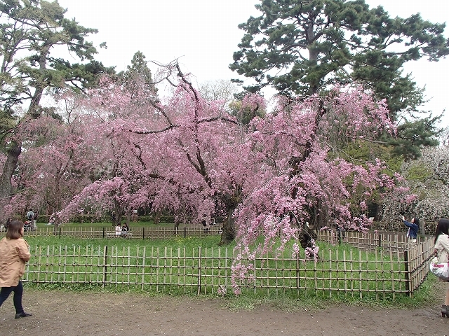 b0044663_23420155.jpg