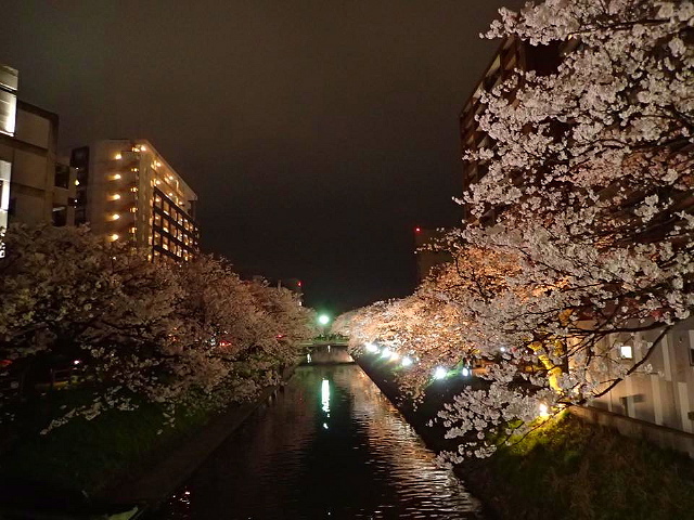 c0123363_1131222.jpg